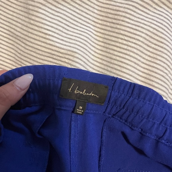 Aritzia Babaton Genie Pants - Picture 3 of 3